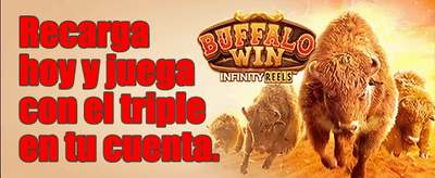 Recarga Diaria de Energía promotion